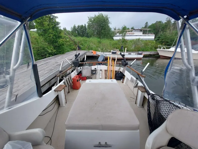 Slide: The Image of Shamrock 20 Walkthrough 1986 - 5560117