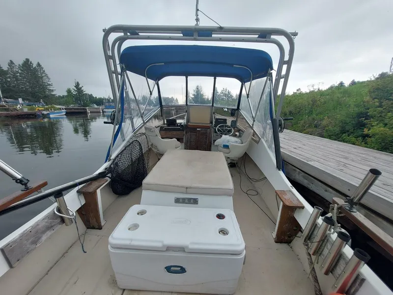 Slide: The Image of Shamrock 20 Walkthrough 1986 - 5560118