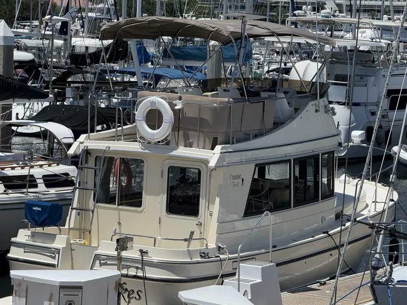 Slide: The Image of Camano 31 2001 - 5563706