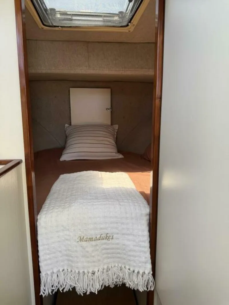 Slide: The Image of Camano 31 2001 - 5563831