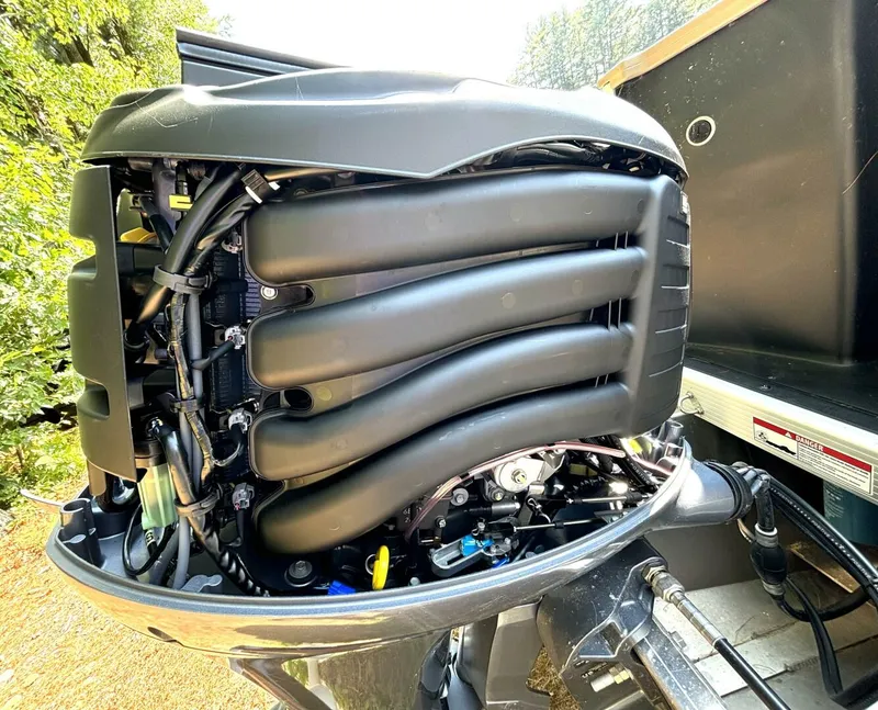 Slide: The Image of Bennington 21 SXSAPG 2023 - 5563161