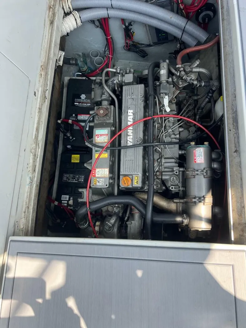 Slide: The Image of Rampage 31 1988 - 5561527