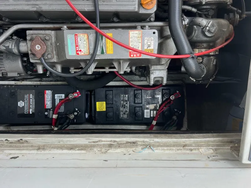 Slide: The Image of Rampage 31 1988 - 5561528