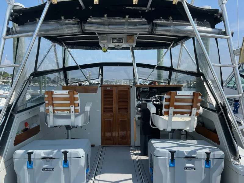 Slide: The Image of Rampage 31 1988 - 5561530