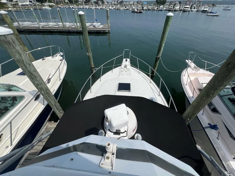 Slide: The Image of Rampage 31 1988 - 5561533