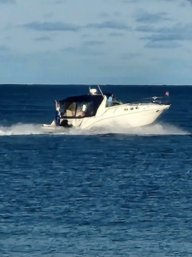 Slide: The Image of Sea Ray 370 Sundancer 1995 - 5563384