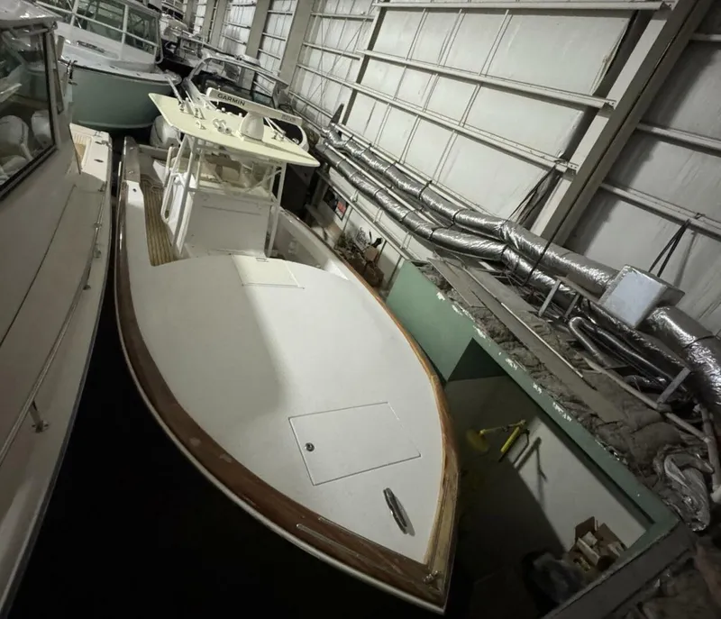 Slide: The Image of Bonadeo 34 Cuddy 2009 - 5564201