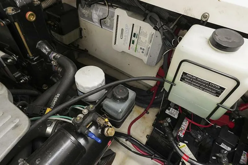 Slide: The Image of Sea Ray 310 Sundancer 2010 - 5568485