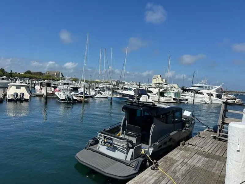 Slide: The Image of G-Force G Force 10 2024 - 5623686