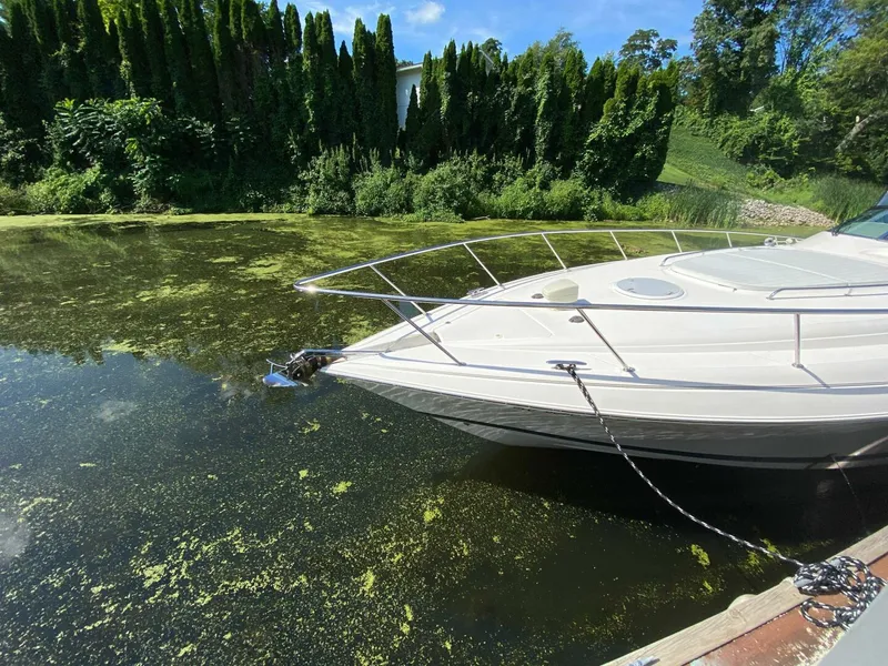 Slide: The Image of Riviera 47 Excalibur 2002 - 5568753