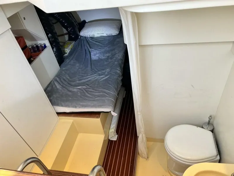 Slide: The Image of Mochi Craft Dolphin 2006 - 5568990