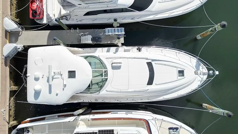 Slide: The Image of 0005316089 - 5573454