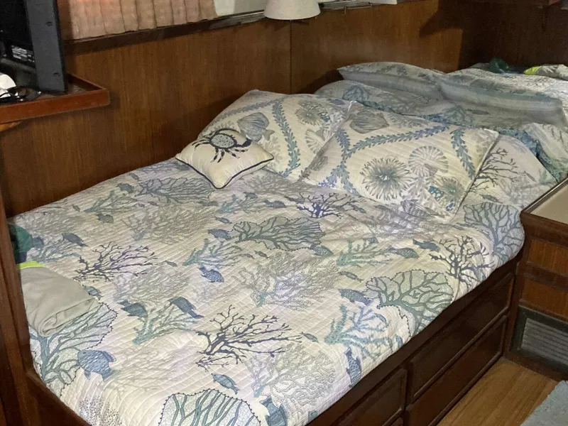 Slide: The Image of Hatteras Sport Fish 1985 - 5579849