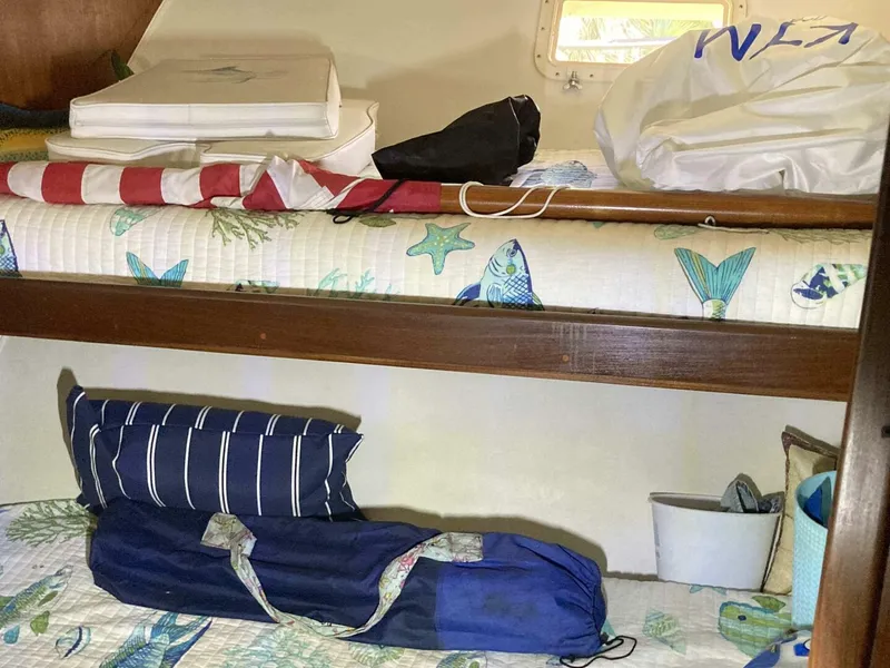 Slide: The Image of Hatteras Sport Fish 1985 - 5579847