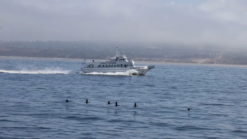 Slide: The Image of Gulf Craft Passenger 1986 - 5574146