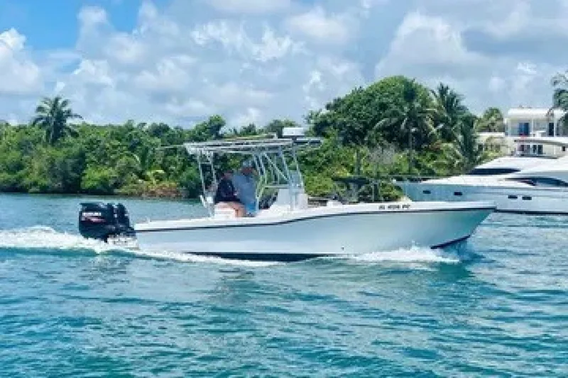 The Image of Dusky 23'3 2011 - 5575450