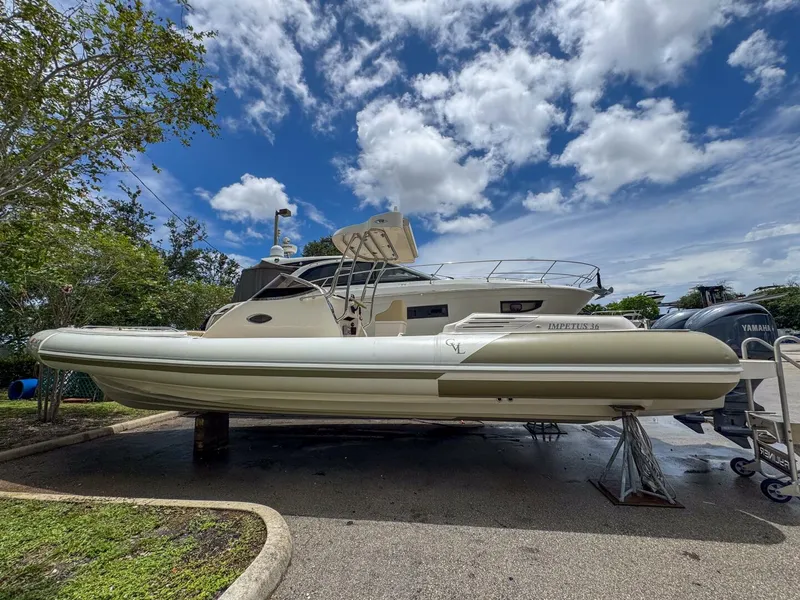 The Image of Tender Impetus 36 2023 - 5576181