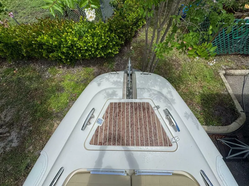 Slide: The Image of Tender Impetus 36 2023 - 5576191