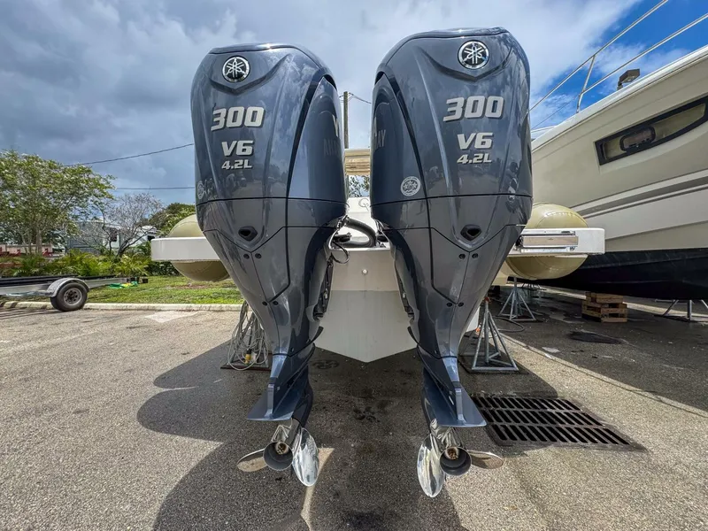 Slide: The Image of Tender Impetus 36 2023 - 5576201