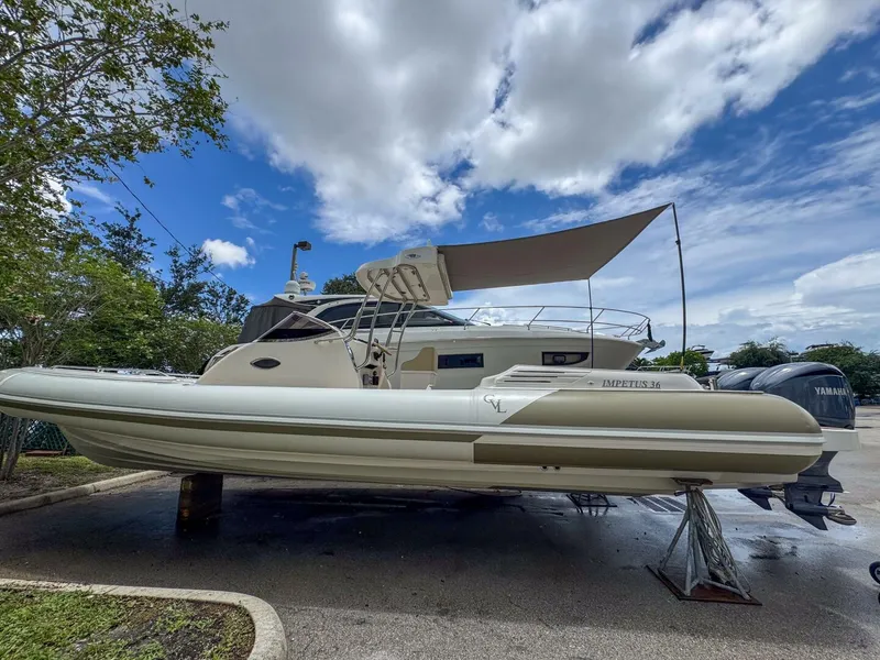 Slide: The Image of Tender Impetus 36 2023 - 5576184