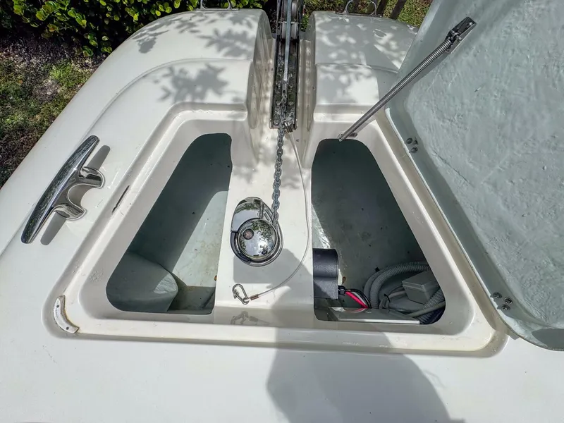 Slide: The Image of Tender Impetus 36 2023 - 5576213