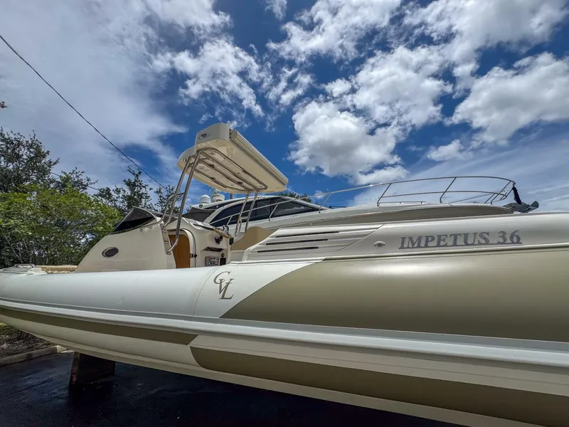 Slide: The Image of Tender Impetus 36 2023 - 5576221