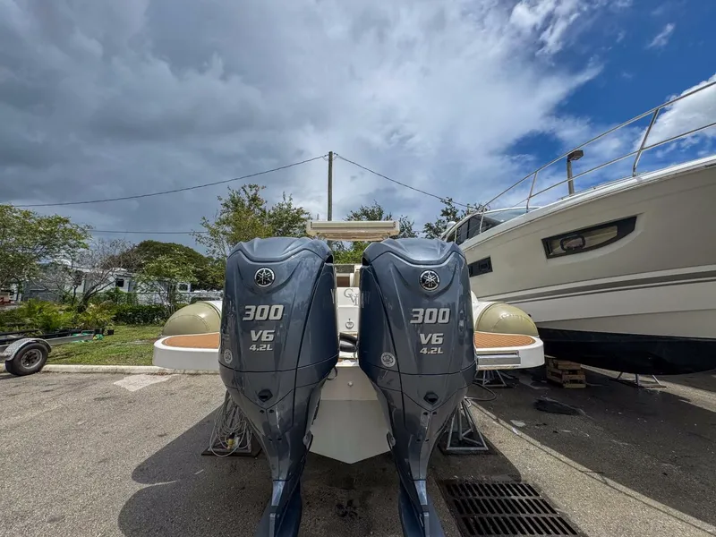 Slide: The Image of Tender Impetus 36 2023 - 5576222