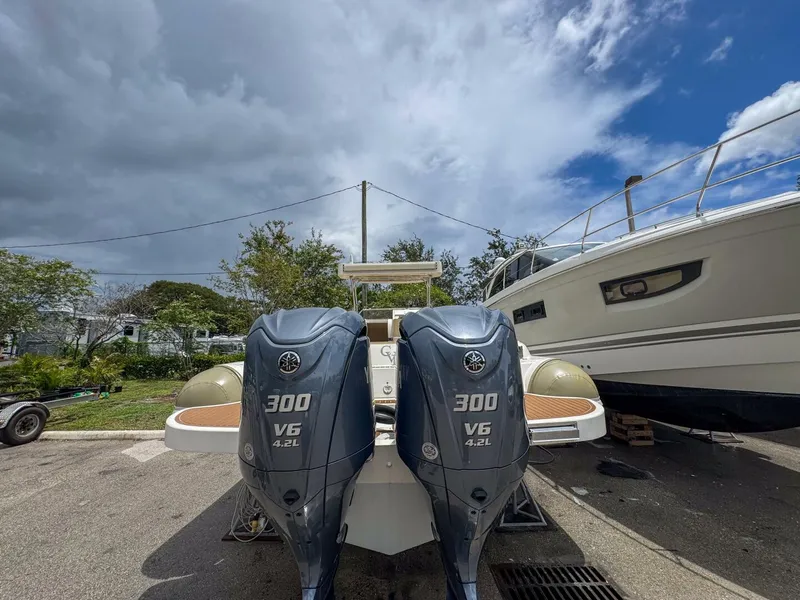 Slide: The Image of Tender Impetus 36 2023 - 5576223