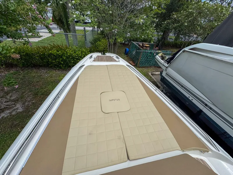 Slide: The Image of Tender Impetus 36 2023 - 5576228