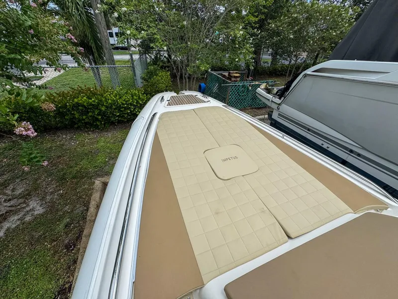 Slide: The Image of Tender Impetus 36 2023 - 5576229