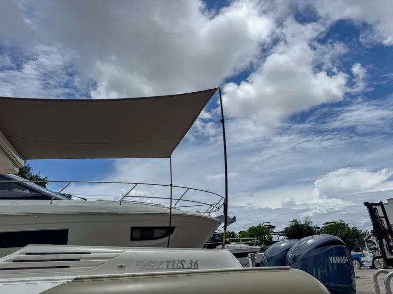 Slide: The Image of Tender Impetus 36 2023 - 5576230