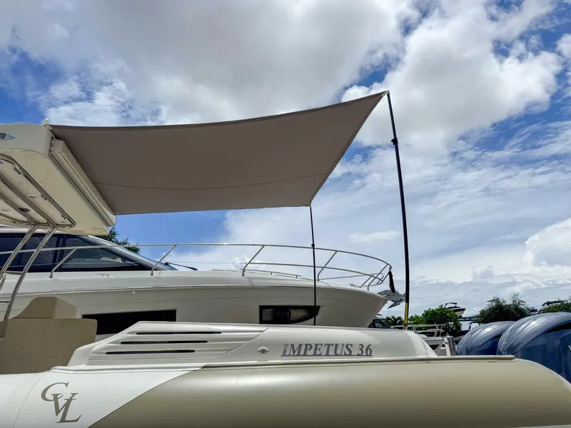 Slide: The Image of Tender Impetus 36 2023 - 5576186