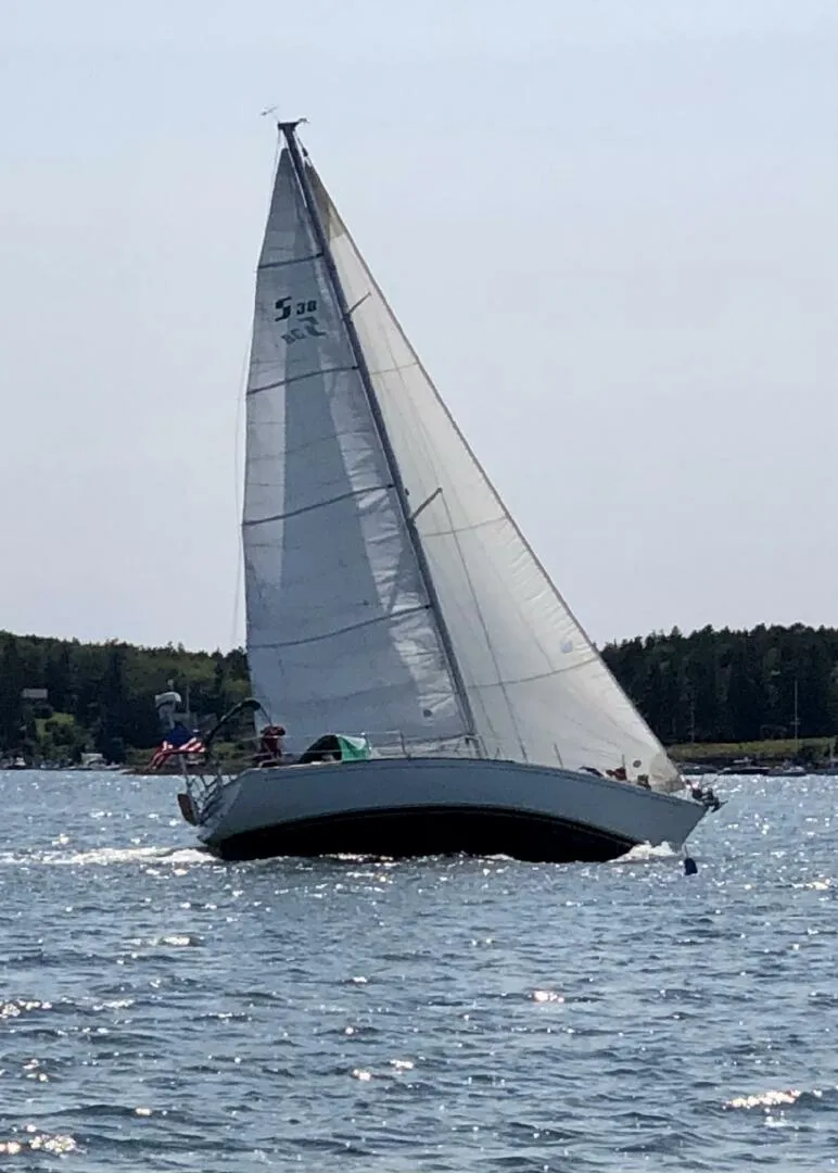 Slide: The Image of Sabre 38 1984 - 5576440