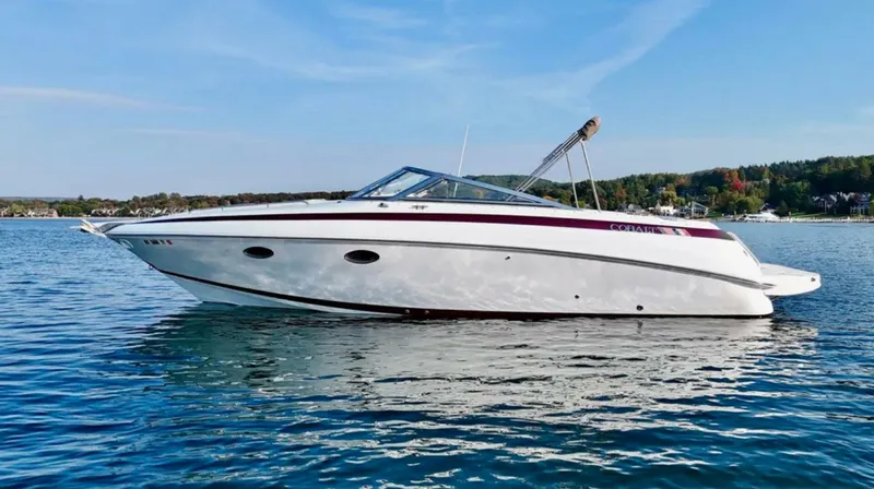 The Image of Cobalt 293 1999 - 5768505