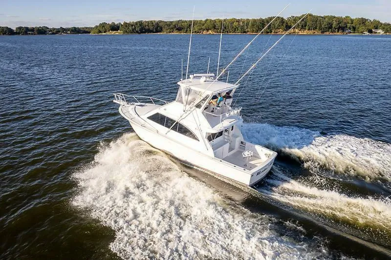 Slide: The Image of 0004775668 - 5577388