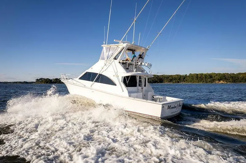 Slide: The Image of 0004775648 - 5577392