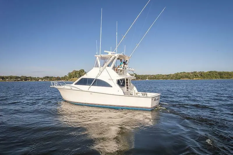 Slide: The Image of 0004775600 - 5577397