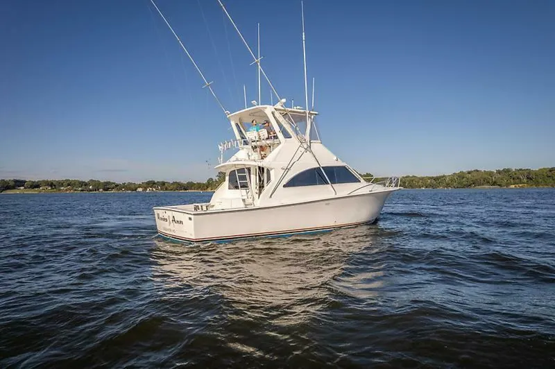 Slide: The Image of 0004775715 - 5577431