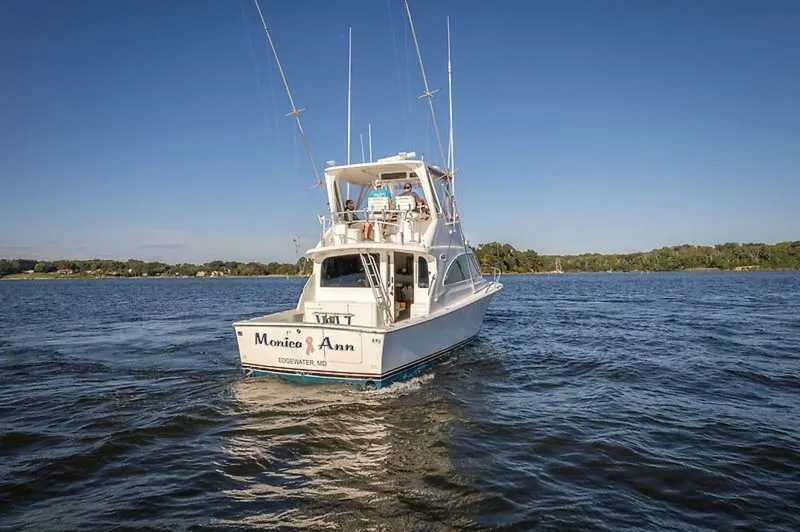 Slide: The Image of 0004775667 - 5577433