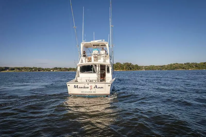 Slide: The Image of 0004775647 - 5577434