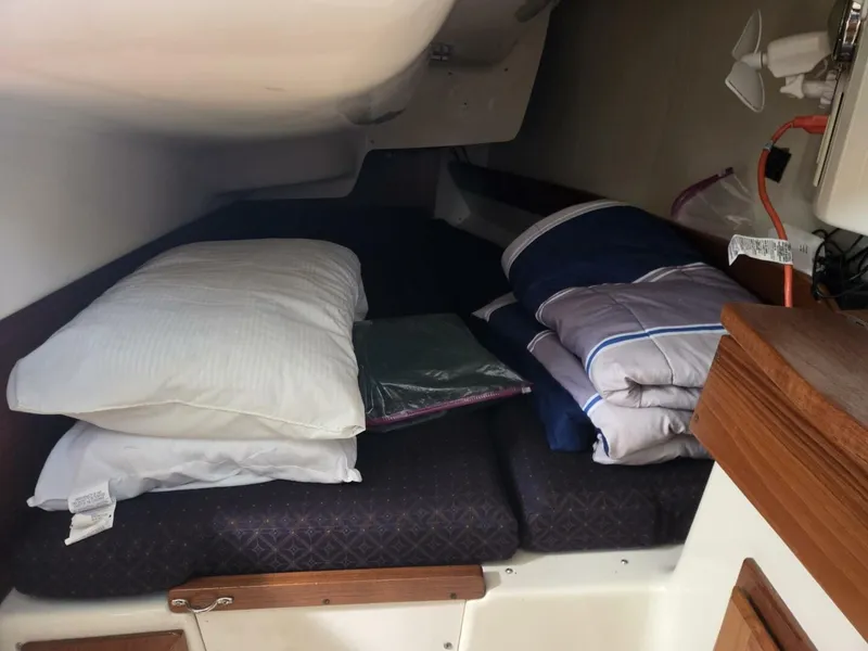 Slide: The Image of Hake / Seaward 32RK 2011 - 5584228