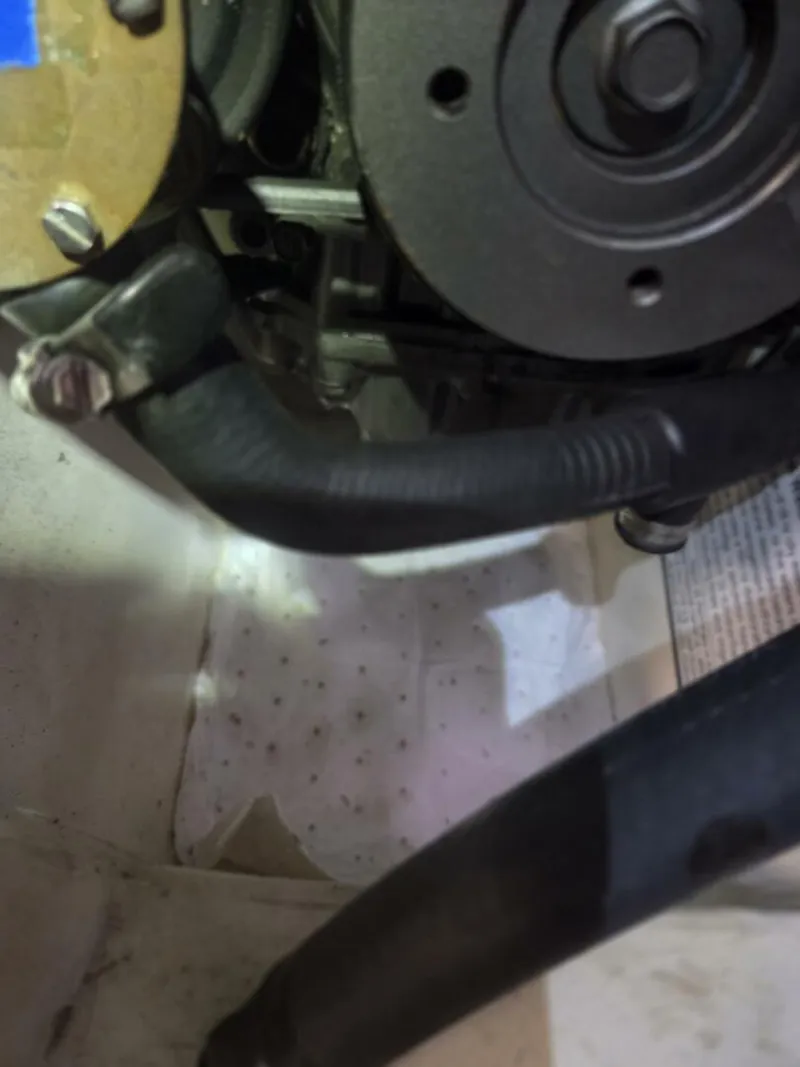 Slide: The Image of Hake / Seaward 32RK 2011 - 5584280