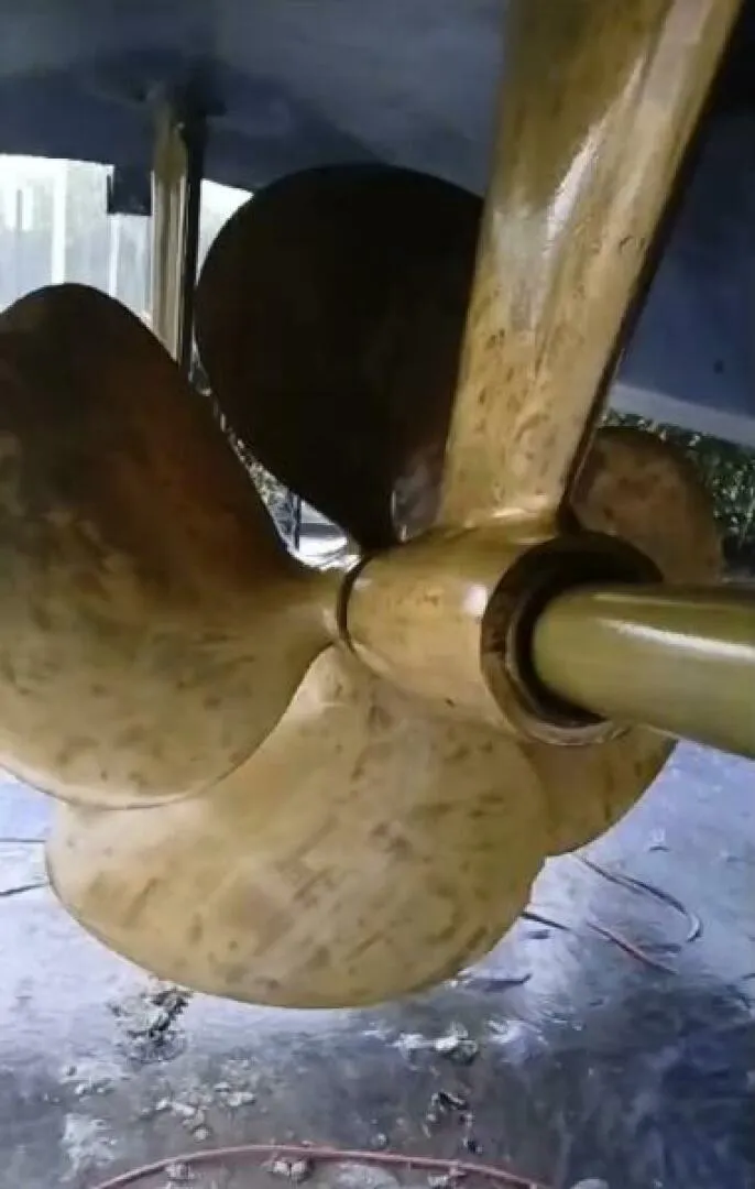 Slide: The Image of Hargrave Capri Skylounge 2004 - 5579670