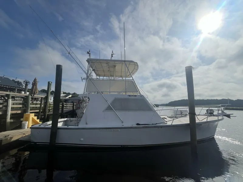 Slide: The Image of Key West Sportfish 1983 - 5581756