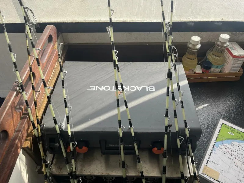 Slide: The Image of Key West Sportfish 1983 - 5581765