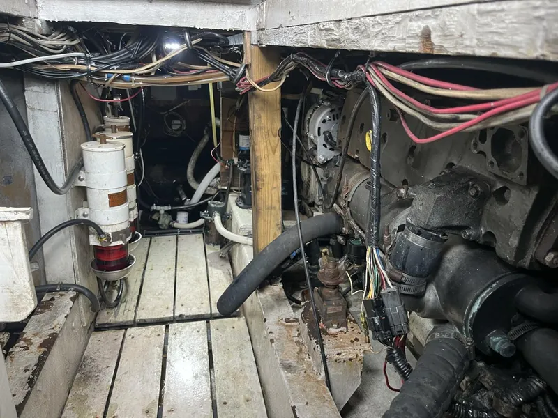 Slide: The Image of Key West Sportfish 1983 - 5581815