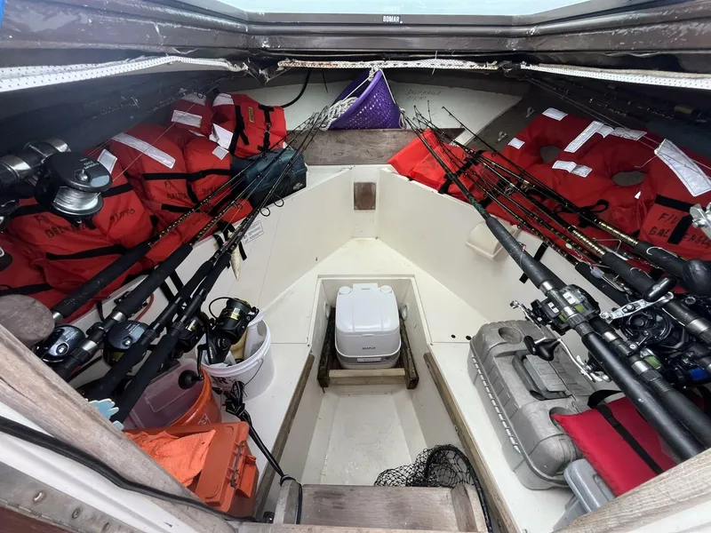 Slide: The Image of Mako 284 1985 - 5586265