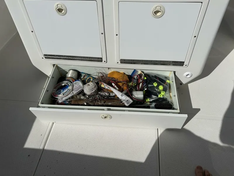 Slide: The Image of Buddy Davis 28 2005 - 5582002