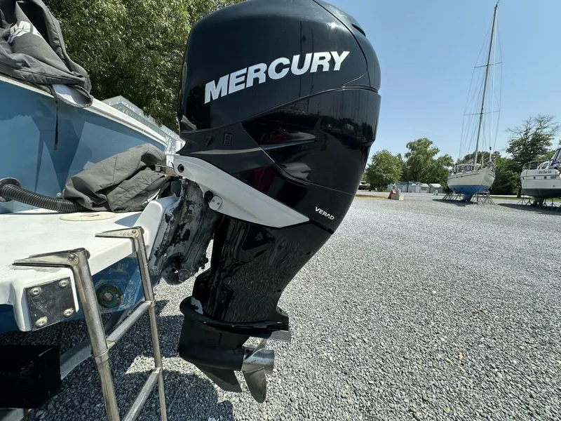 Slide: The Image of Buddy Davis 28 2005 - 5580762