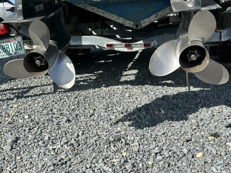 Slide: The Image of Buddy Davis 28 2005 - 5581988